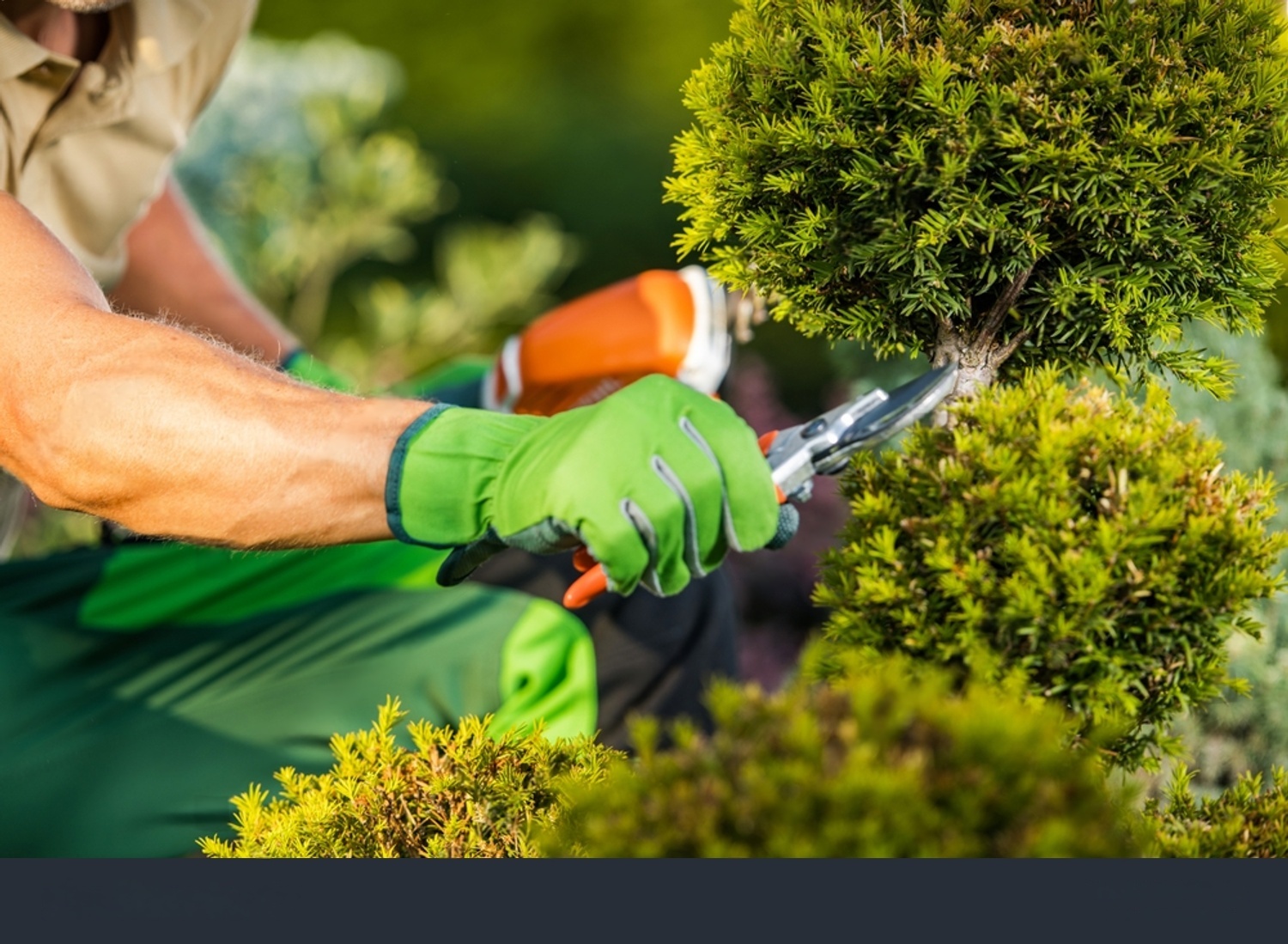Garden Maintenance